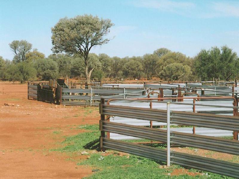 Mount Magnet WA 6638