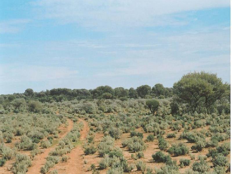 Mount Magnet WA 6638