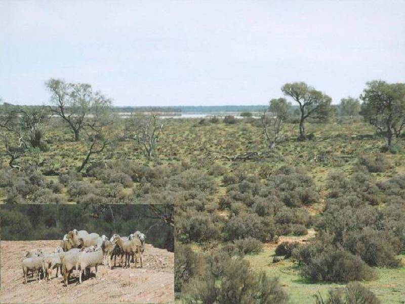 Mollerin WA 6475