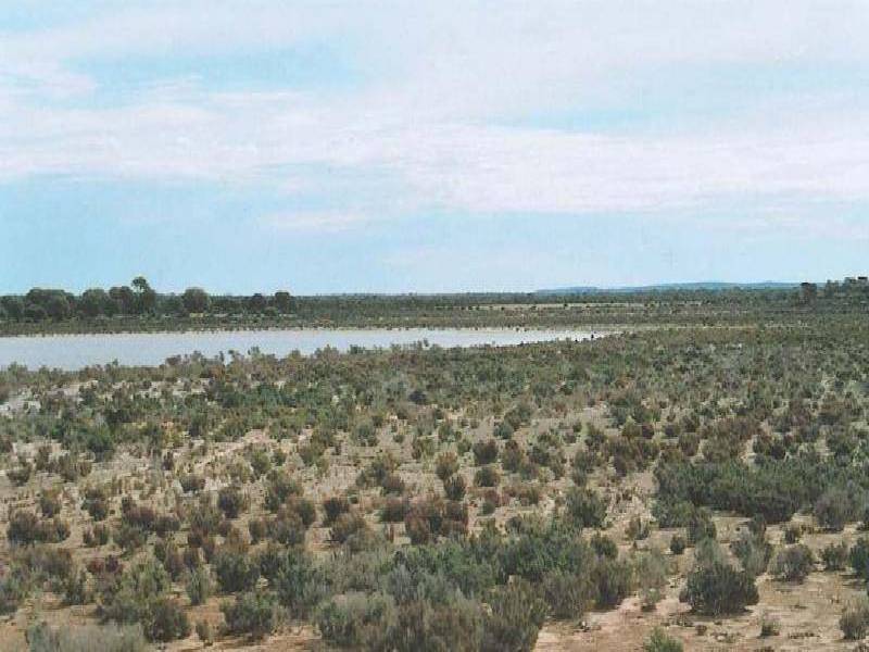 Mollerin WA 6475