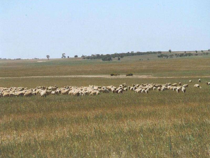 South Kumminin WA 6368