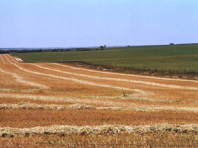 South Kumminin WA 6368