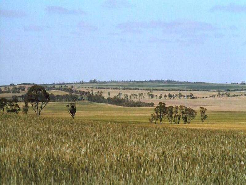 South Kumminin WA 6368