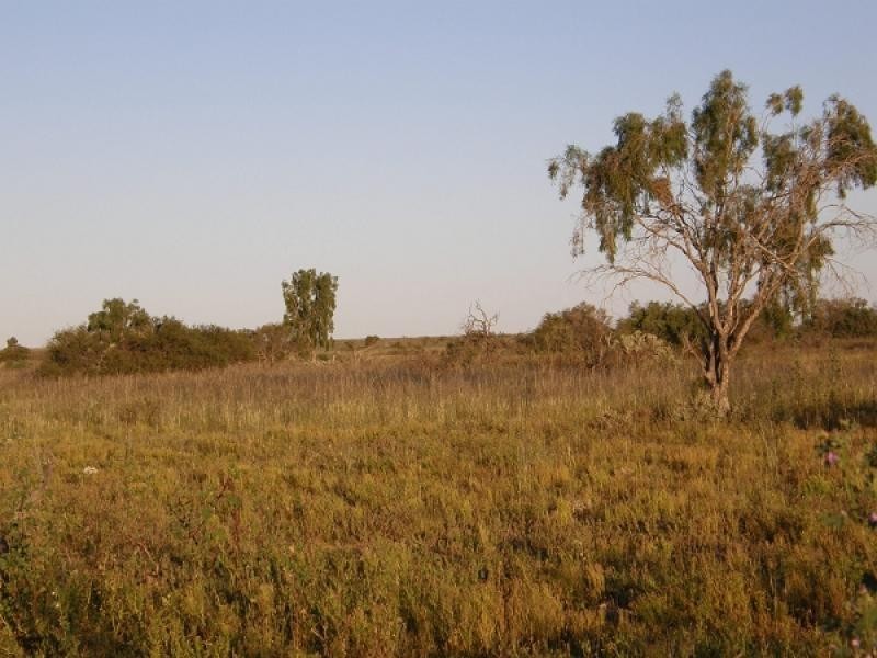 Kalgoorlie WA 6430