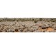 Kalgoorlie WA 6430