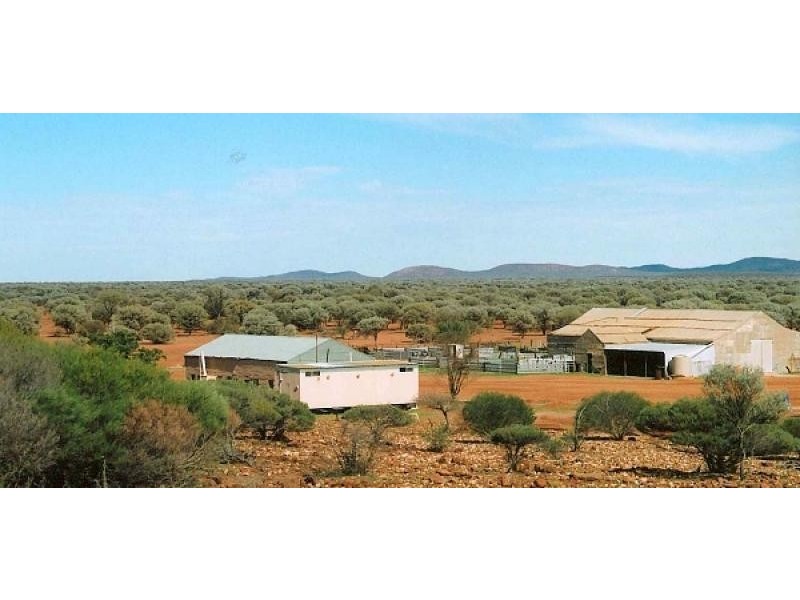 Mount Magnet WA 6638