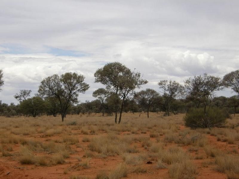 Sandstone WA 6639 the real estate agency Withdrawn