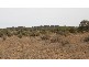 Mount Magnet WA 6638