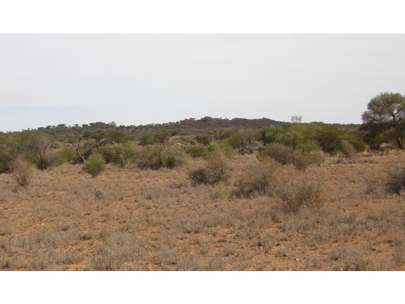 Mount Magnet WA 6638