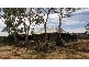 Mount Magnet WA 6638