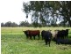 Lot 198/0 Peverett Lane, Oakford WA 6121