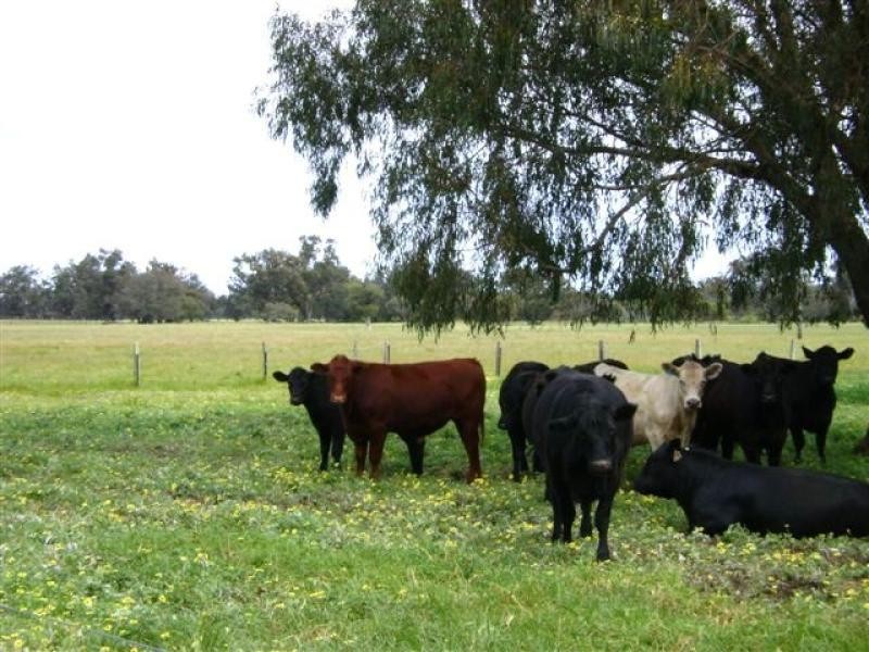 Lot 198/0 Peverett Lane, Oakford WA 6121