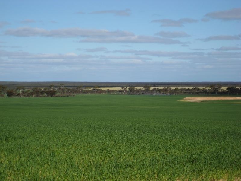 Holleton WA 6426