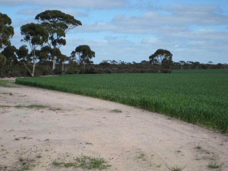 Holleton WA 6426