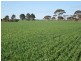Holleton WA 6426