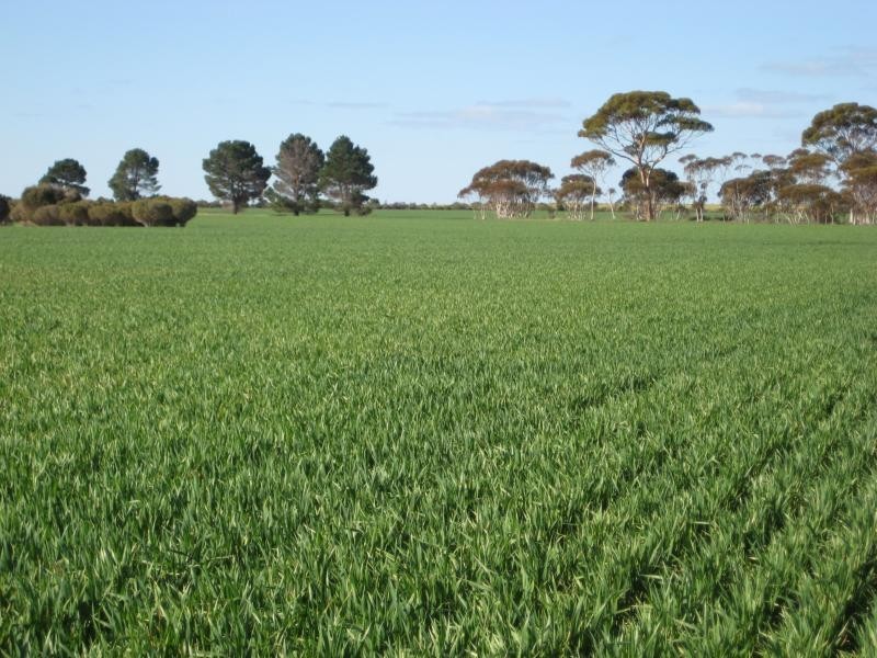 Holleton WA 6426