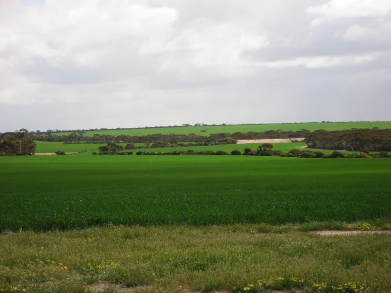 Holleton WA 6426