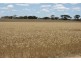 222 Dillon Rd, Newdegate WA 6355