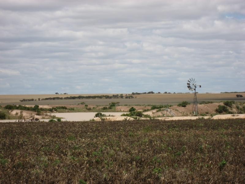 222 Dillon Rd, Newdegate WA 6355