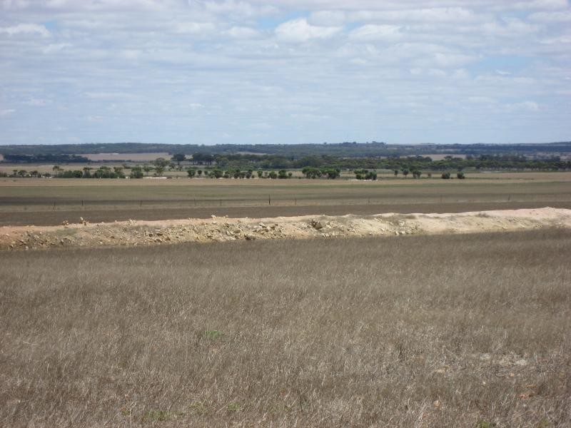 222 Dillon Rd, Newdegate WA 6355