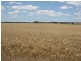 222 Dillon Rd, Newdegate WA 6355