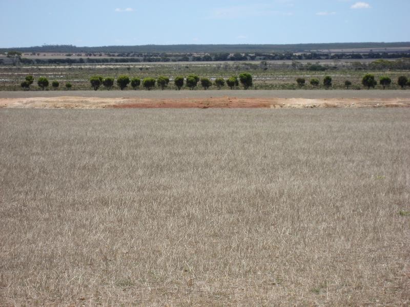 222 Dillon Rd, Newdegate WA 6355