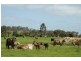 Albany WA 6330