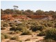 Sandstone WA 6639