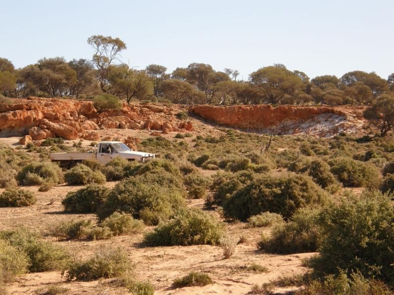 Sandstone WA 6639