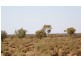 Sandstone WA 6639
