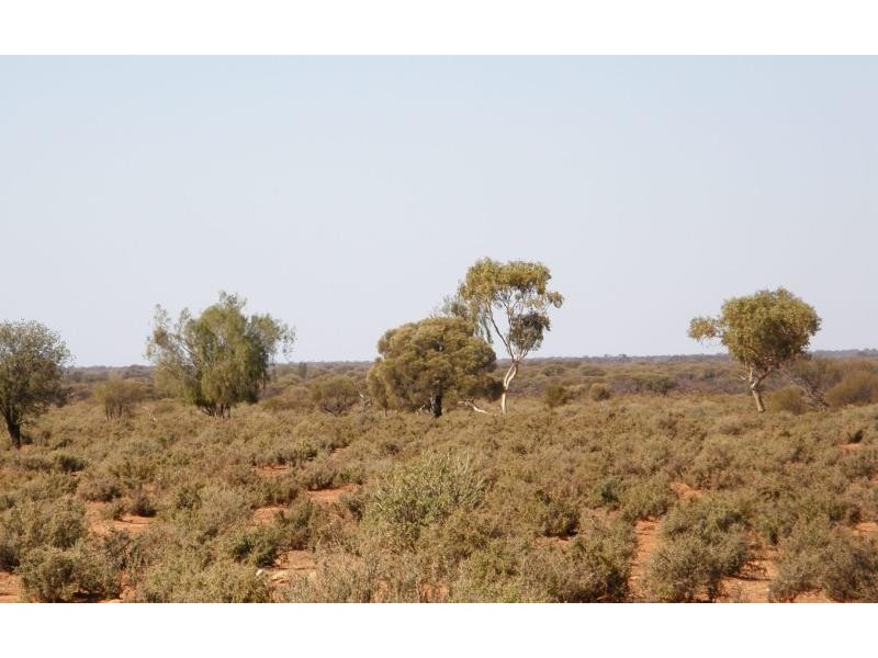 Sandstone WA 6639