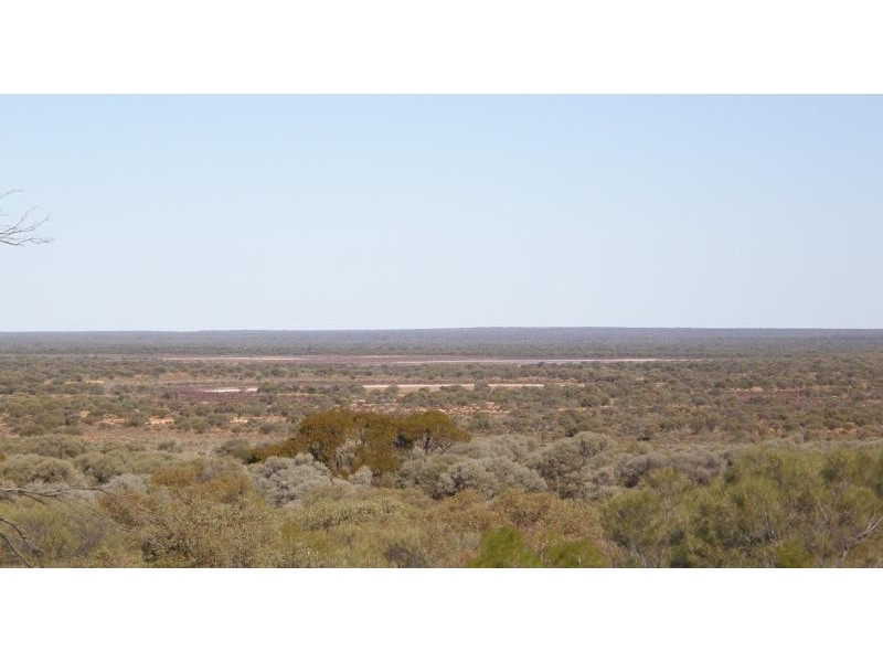 Sandstone WA 6639