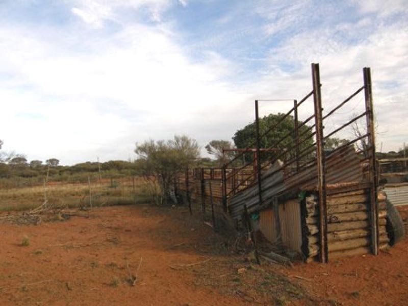 Mount Magnet WA 6638