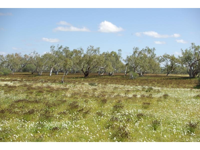 Carnarvon WA 6701