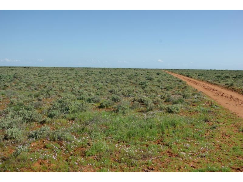 Carnarvon WA 6701