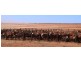 Carnarvon WA 6701