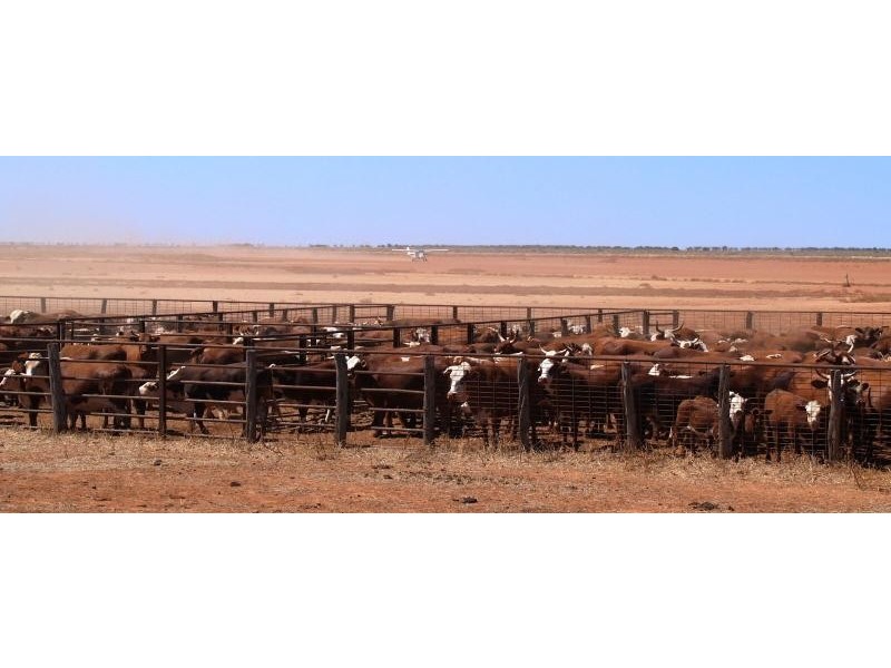 Carnarvon WA 6701