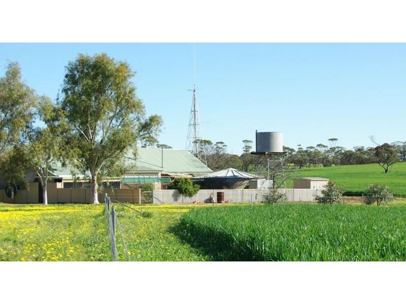 Carnamah WA 6517 the real estate agency Withdrawn