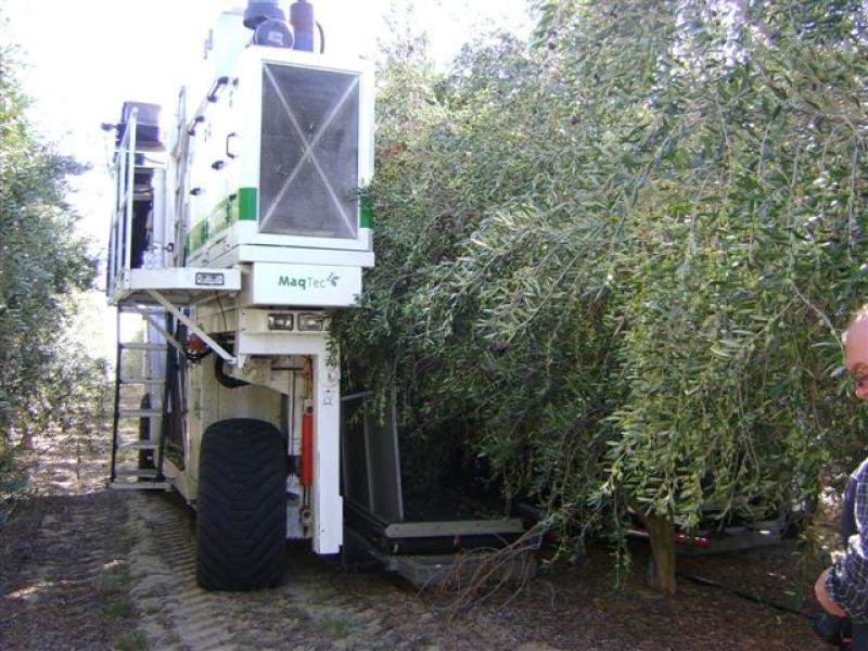 Lot 53 Croot Place, Gingin WA 6503