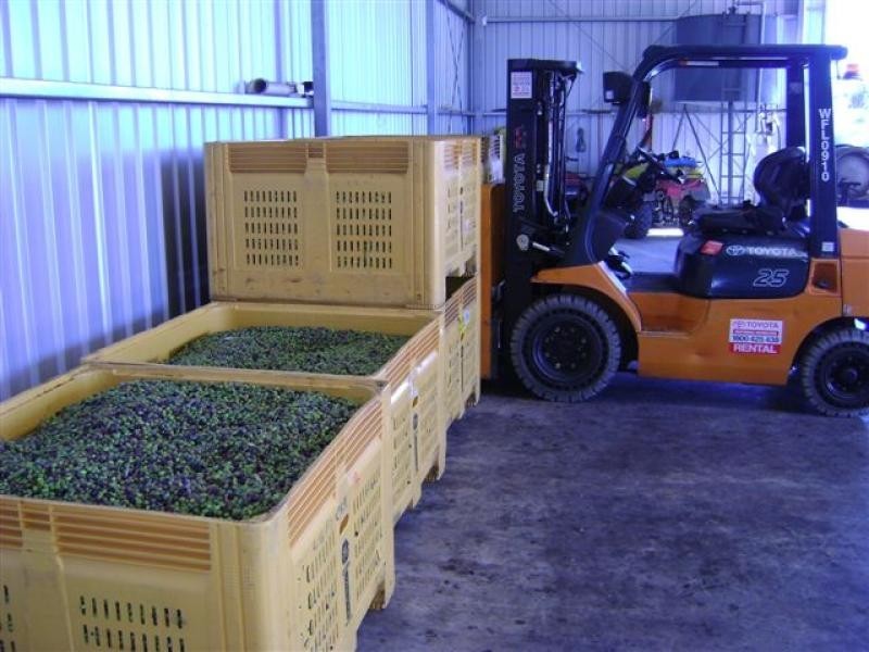 Lot 53 Croot Place, Gingin WA 6503