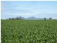 Cranbrook WA 6321