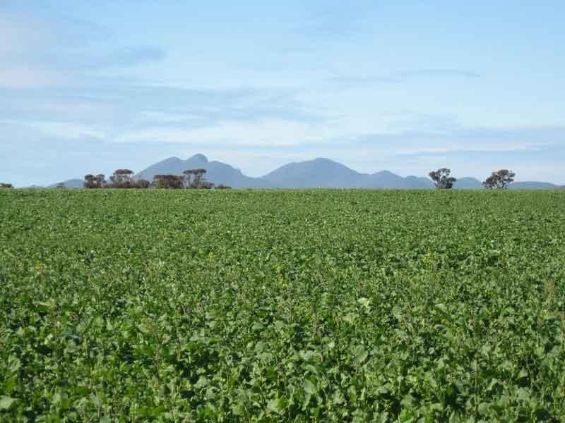 Cranbrook WA 6321
