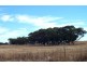 Coorow WA 6515