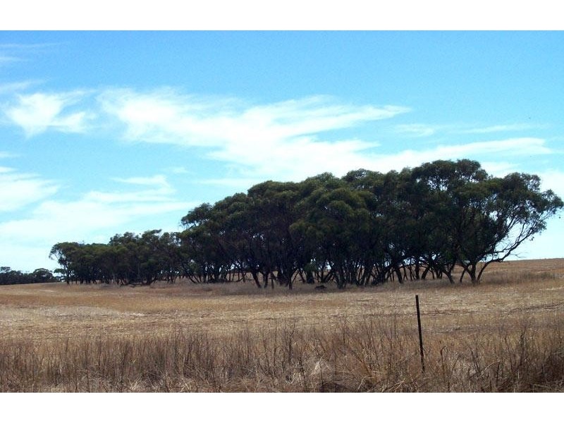 Coorow WA 6515