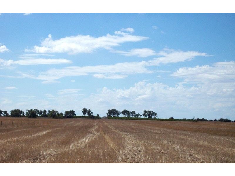 Coorow WA 6515