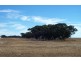 Coorow WA 6515