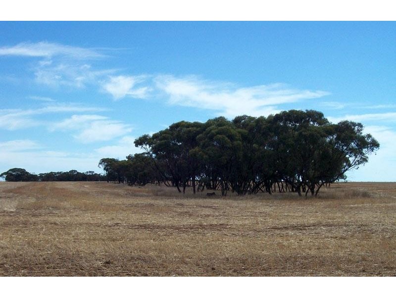 Coorow WA 6515