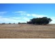 Coorow WA 6515