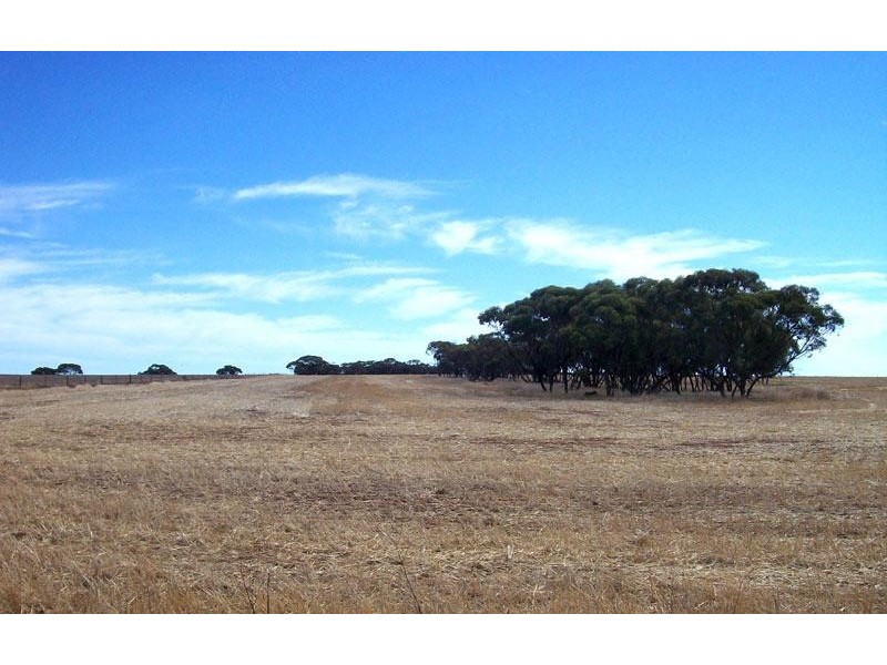 Coorow WA 6515