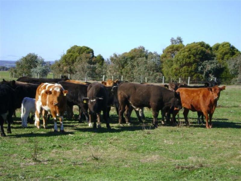 1142 Hopeland Road, Serpentine WA 6125